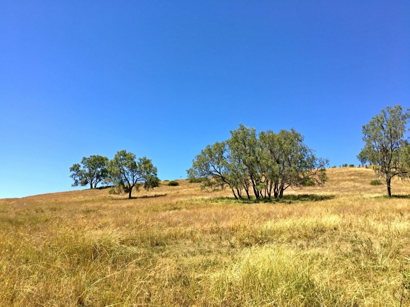 21 Schadwell Road, Blenheim QLD 4341