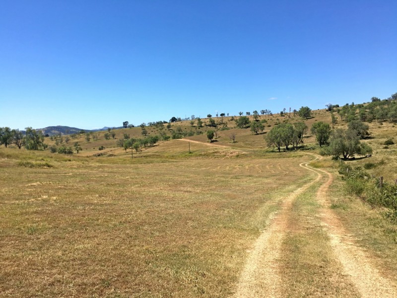 21 Schadwell Road, Blenheim QLD 4341
