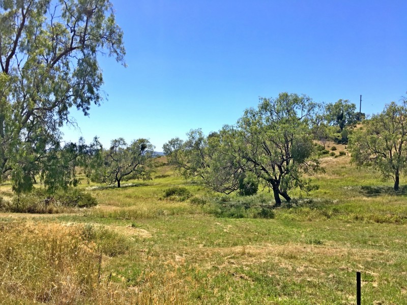 21 Schadwell Road, Blenheim QLD 4341