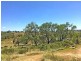 21 Schadwell Road, Blenheim QLD 4341