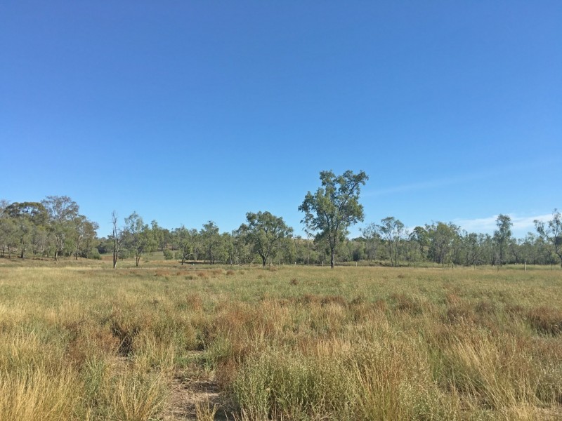 366 Ropeley Rockside Road, Ropeley QLD 4343