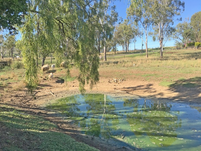 366 Ropeley Rockside Road, Ropeley QLD 4343