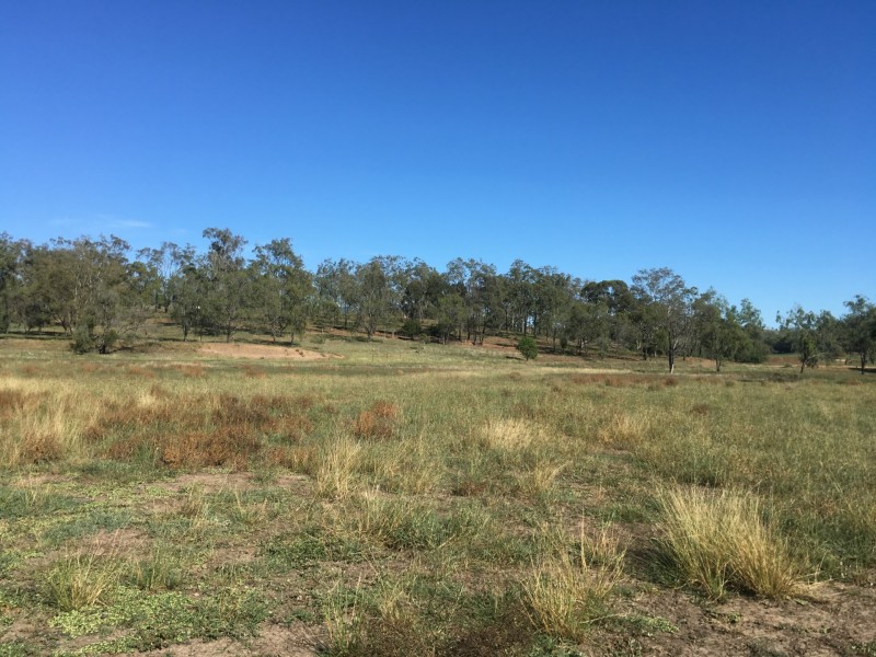 366 Ropeley Rockside Road, Ropeley QLD 4343