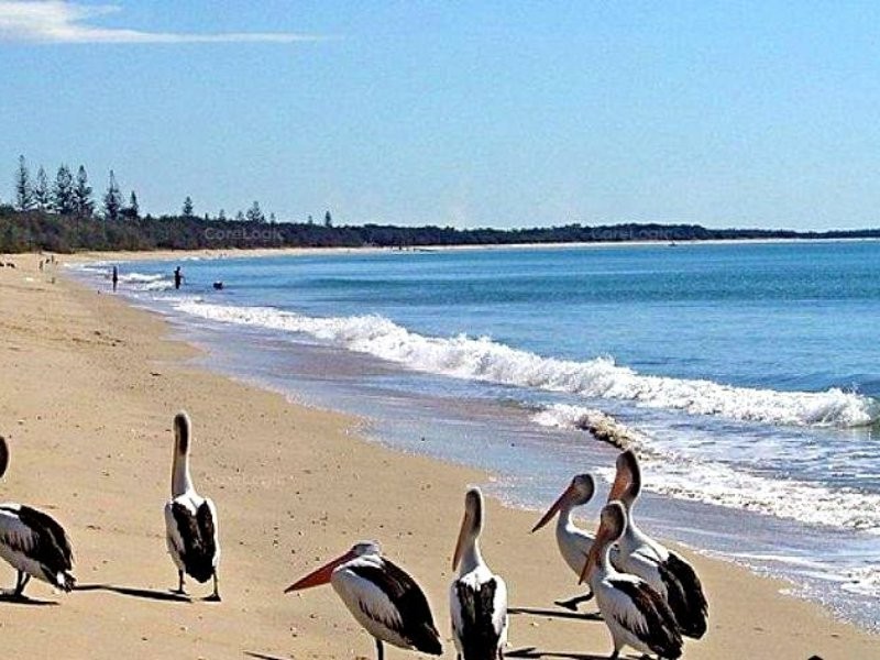 23 Ocean Drive, Woodgate QLD 4660