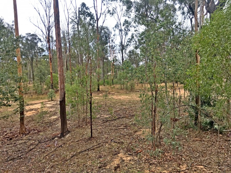 65 Edwards Road, Gatton QLD 4343