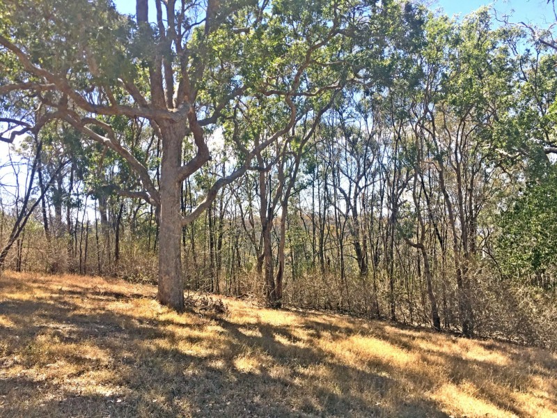 62 East Street, Toowoomba QLD 4350