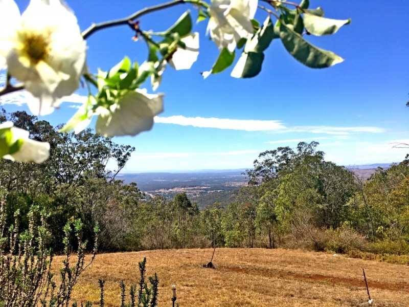 62 East Street, Toowoomba QLD 4350