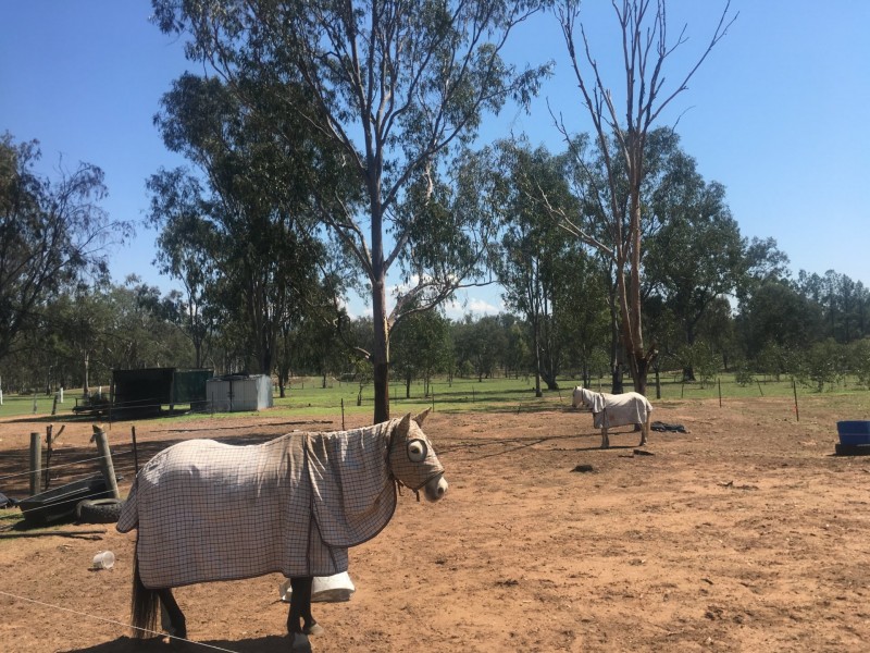 179 Huntingdale Crescent, Placid Hills QLD 4343