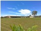 13 Zabel Drive, Plainland QLD 4341