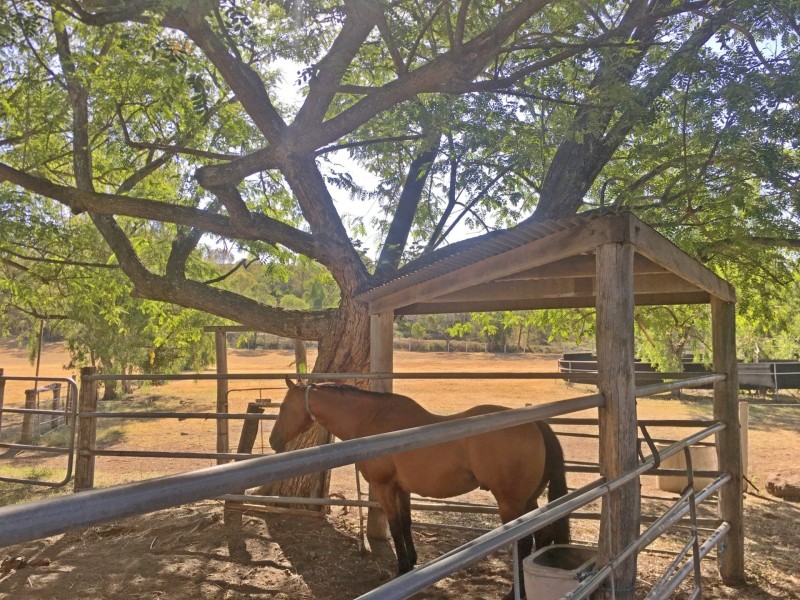 705 Ropeley Rockside Road, Ropeley QLD 4343