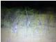 Lot 2 O’Dwyer Street, Laidley QLD 4341
