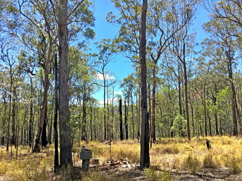 lot 48 Gormans Road, Palmtree QLD 4352