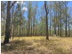 lot 48 Gormans Road, Palmtree QLD 4352