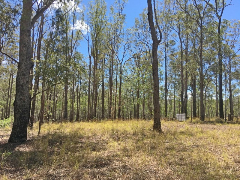 lot 48 Gormans Road, Palmtree QLD 4352