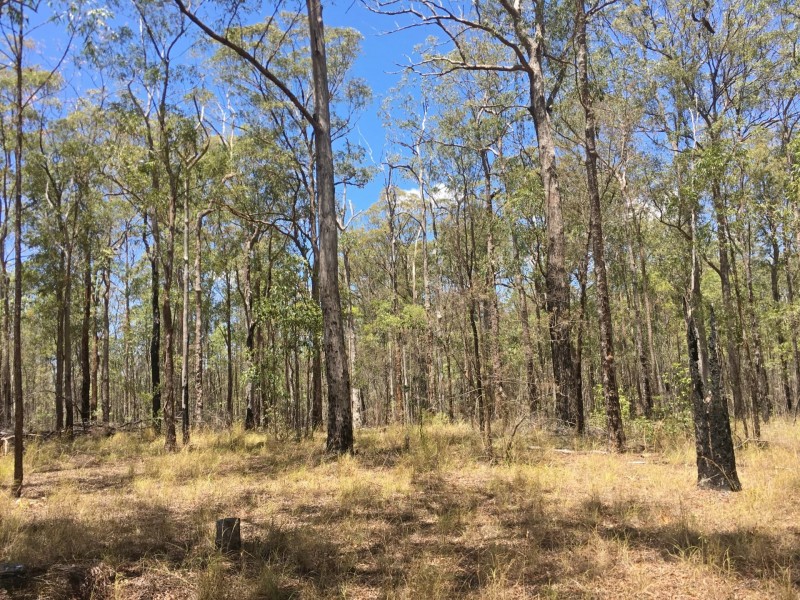 lot 48 Gormans Road, Palmtree QLD 4352