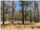 lot 48 Gormans Road, Palmtree QLD 4352