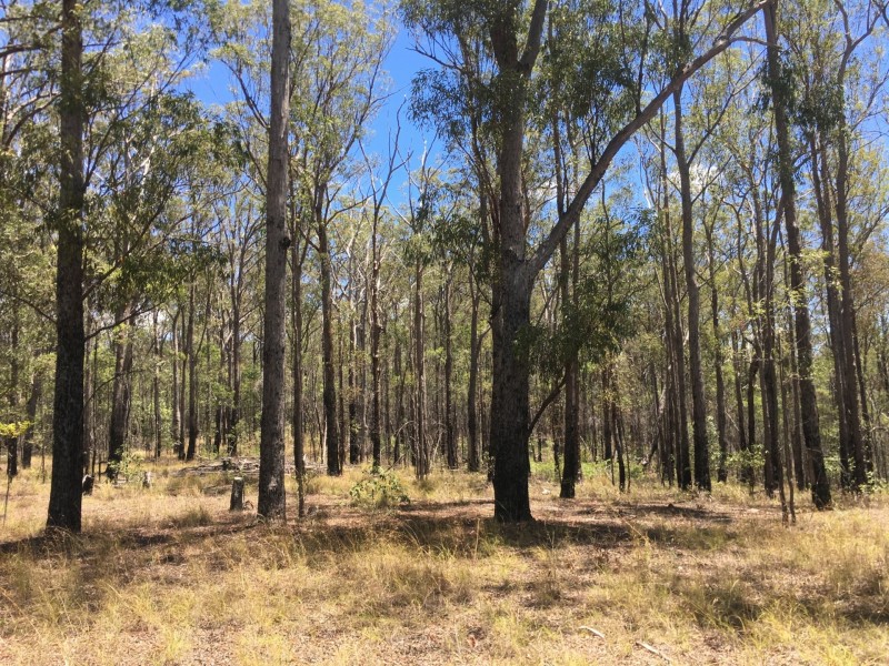 lot 48 Gormans Road, Palmtree QLD 4352