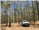 lot 48 Gormans Road, Palmtree QLD 4352
