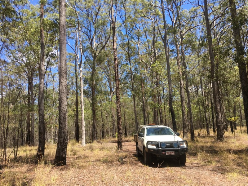 lot 48 Gormans Road, Palmtree QLD 4352