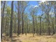 lot 48 Gormans Road, Palmtree QLD 4352