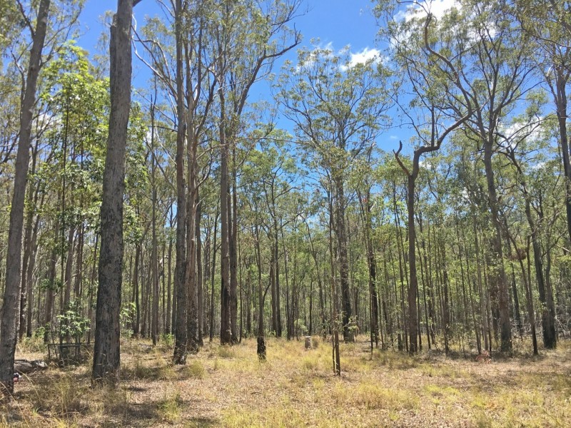 lot 48 Gormans Road, Palmtree QLD 4352