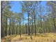 lot 48 Gormans Road, Palmtree QLD 4352