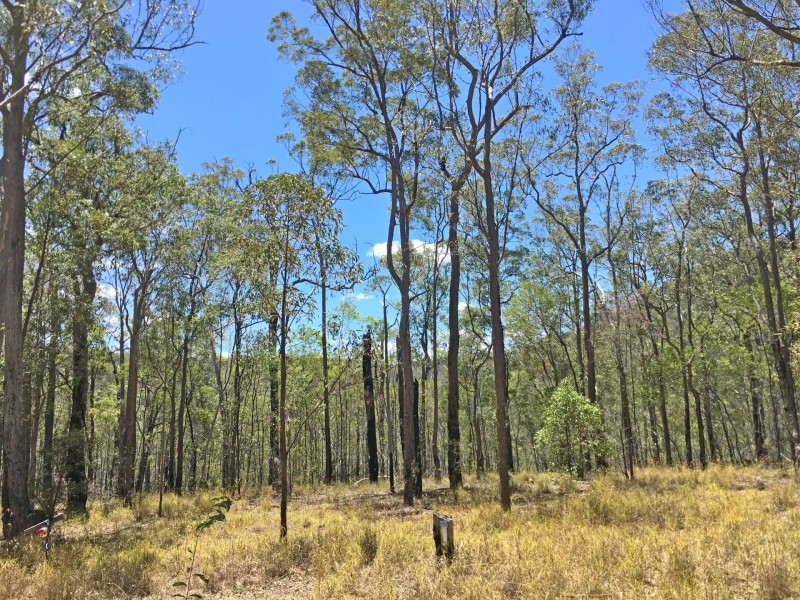 lot 48 Gormans Road, Palmtree QLD 4352