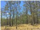lot 48 Gormans Road, Palmtree QLD 4352