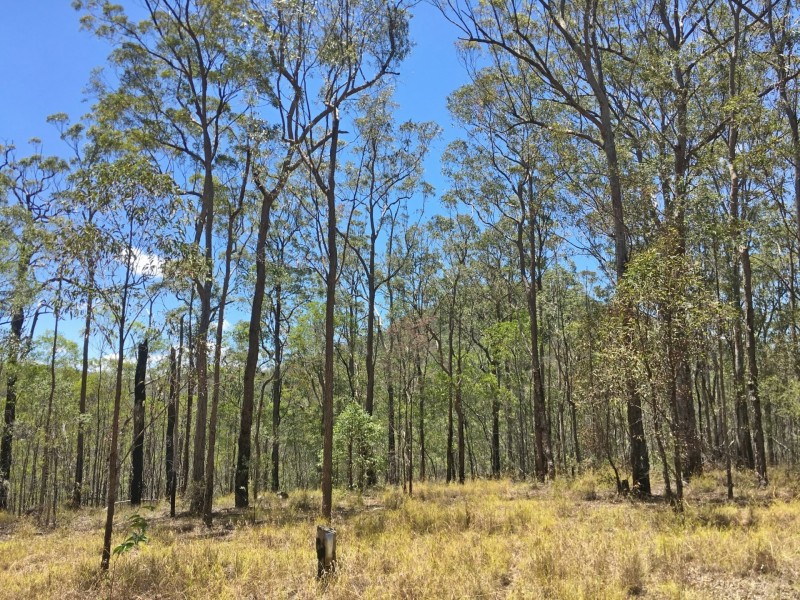 lot 48 Gormans Road, Palmtree QLD 4352