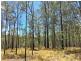 lot 48 Gormans Road, Palmtree QLD 4352