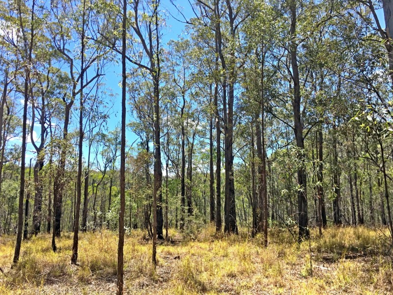 lot 48 Gormans Road, Palmtree QLD 4352