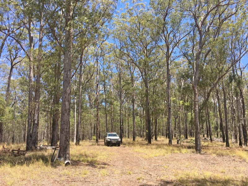 lot 48 Gormans Road, Palmtree QLD 4352