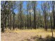 lot 48 Gormans Road, Palmtree QLD 4352