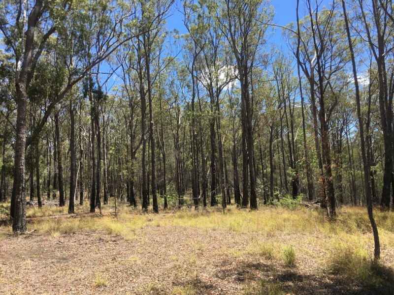 lot 48 Gormans Road, Palmtree QLD 4352