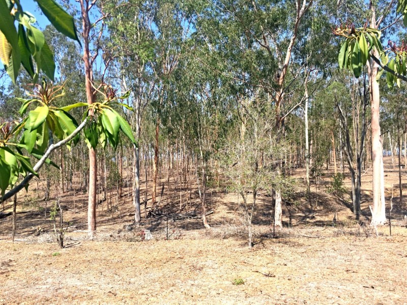 36 Johns Lane, Helidon QLD 4344