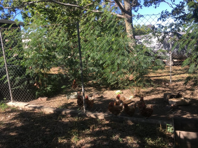 14 Waight Street, Rosewood QLD 4340