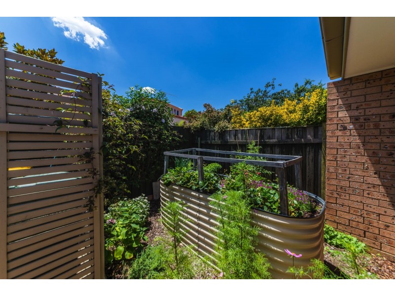 113 De Little Circuit, Greenway ACT 2900