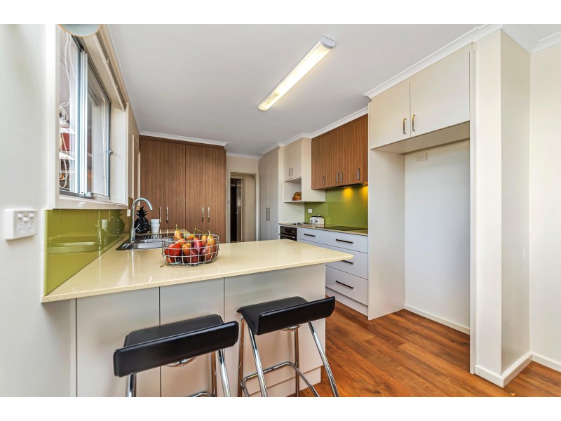 29 Moodie Street, Farrer ACT 2607