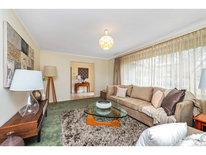 29 Moodie Street, Farrer ACT 2607