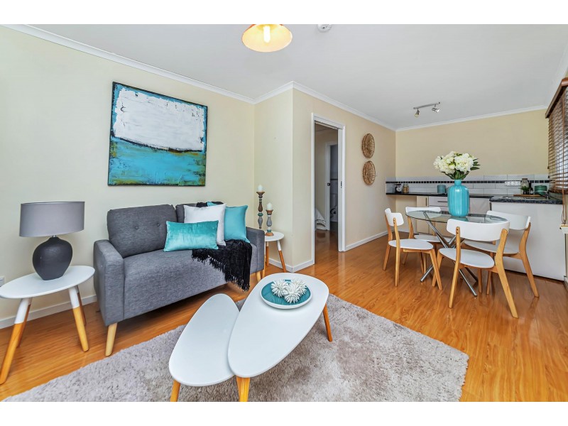 29 Moodie Street, Farrer ACT 2607