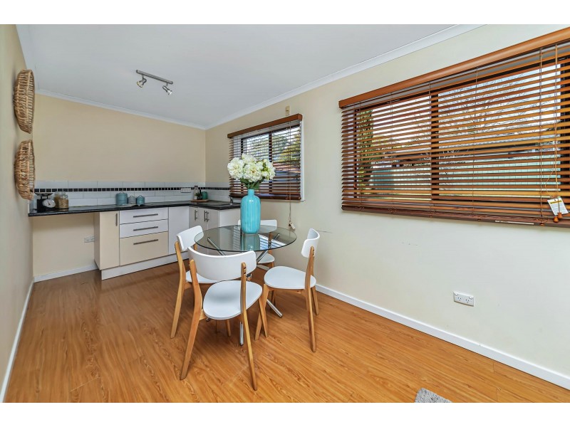 29 Moodie Street, Farrer ACT 2607