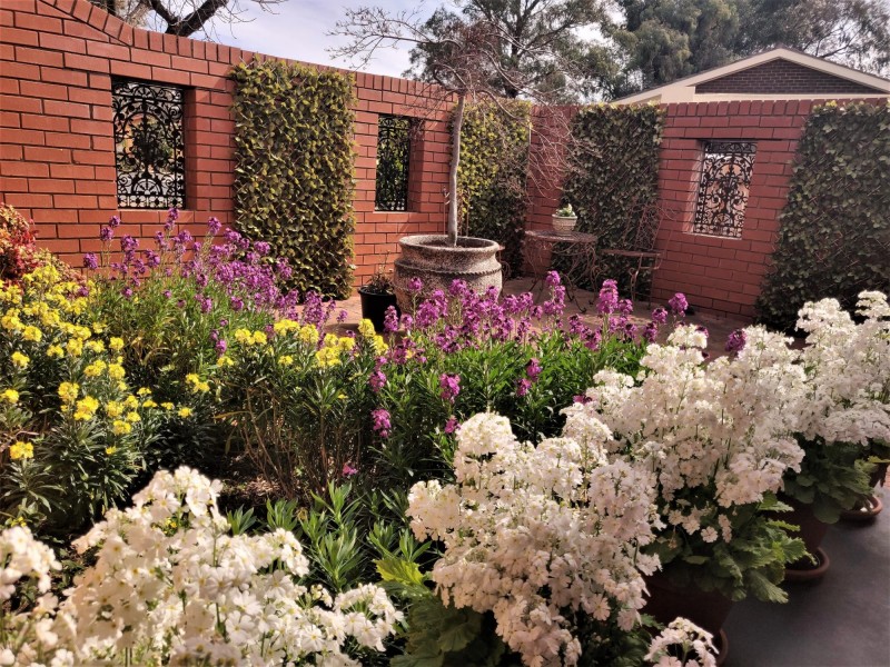 23 Duffus Place, Wanniassa ACT 2903