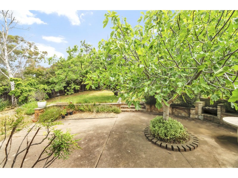 14 McCay Street, Pearce ACT 2607