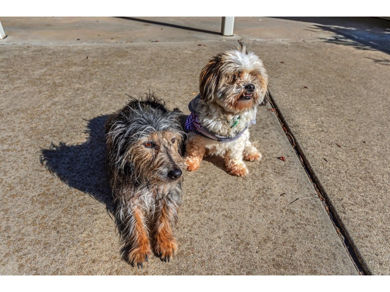 10A Langlands Close, Calwell ACT 2905