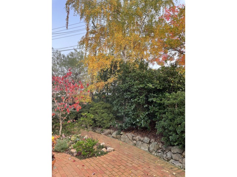 9 Veale Street, Monash ACT 2904