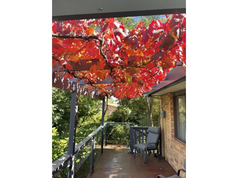 9 Veale Street, Monash ACT 2904