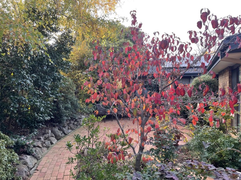 9 Veale Street, Monash ACT 2904