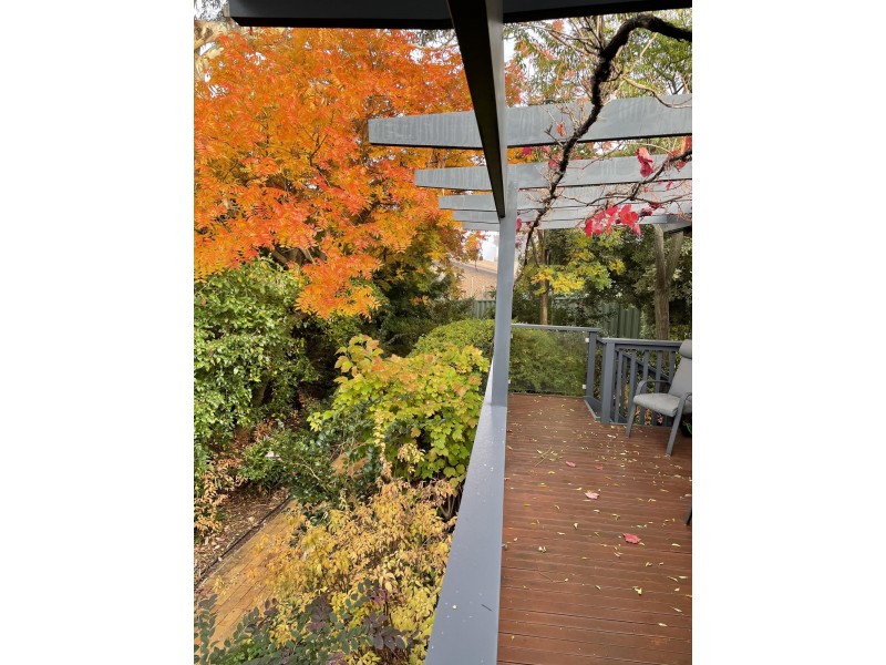 9 Veale Street, Monash ACT 2904