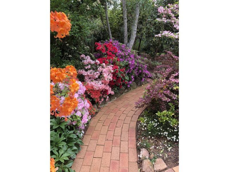 9 Veale Street, Monash ACT 2904