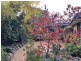 9 Veale Street, Monash ACT 2904